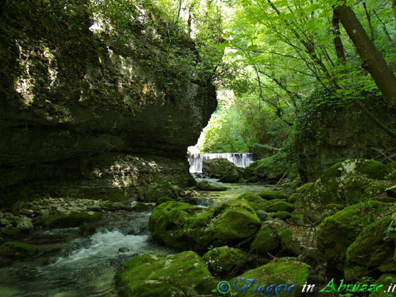 Valle dell'Orfento P5013992-.jpg